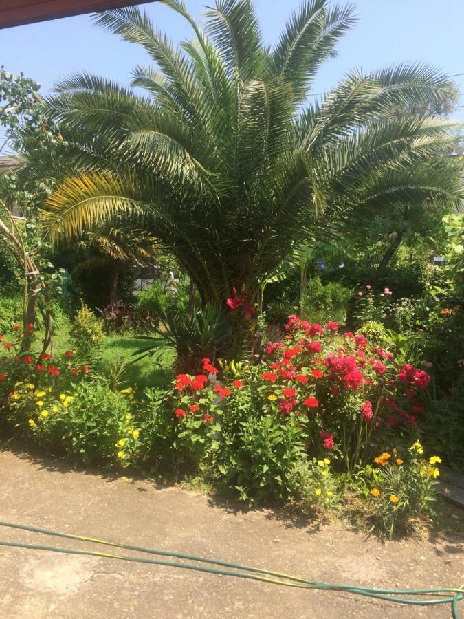 Bed and Breakfast Гостевой дом Мира Гагра Экстерьер фото